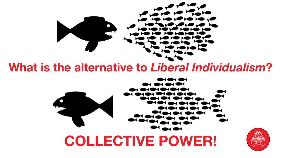 An illustration divided.
The top of the image is a large fish chasing after a school of little fish. The words "What is the alternative to Liberal Individualism?"
The bottom of the image is the large fish running away as the school of little fish shape themselves into the shape of an even bigger fish. The words: Collective Power!
(personal note from the person running this account having a moment of indulgence: think of the pokemon Wishiwashi. It appears as a meek fish with low stats. But it has the ability "Schooling" where is turns into a massive fish made up of other Wishiwashi, and it has boosted stats.)