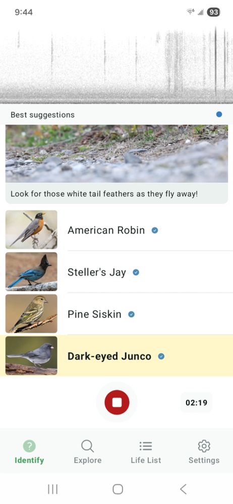 A Merlin list showing juncos, pine siskin, Steller's Jay, and American robin
