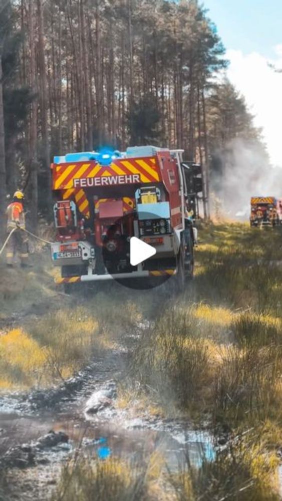 Philipp | Fotograf | Feuerwehr & Katastrophenschutz on Instagram: "Recap - Tag 2 der #eichkater2024 Waldbrandübung aus den Brandflächen in Celle-Scheuen 🔥🚒

#freiwilligefeuerwehr #feuerwehr #waldbrand...