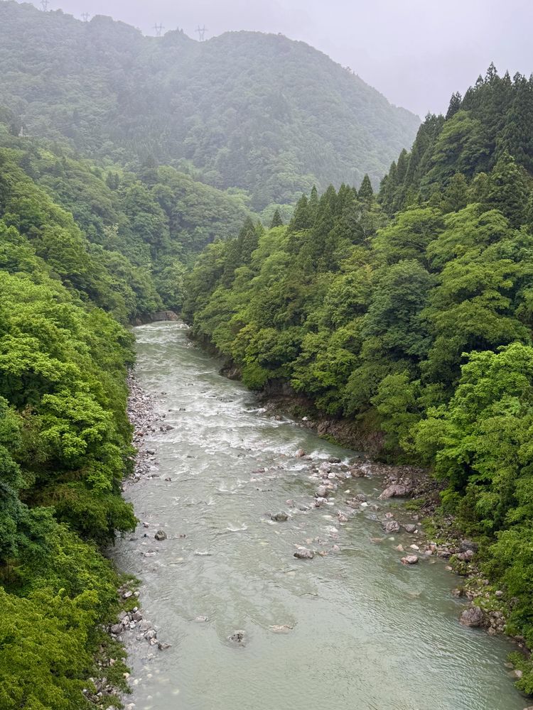 A river with rocks causing the water to foam white makes its way through a steep lushly forested valley in the mountains of central Japan.  It is misty and cloudy and the trees are bright green.

Mozumi, Japan, near Kamioka Town and the site of the Super-Kamiokande particle physics detector.