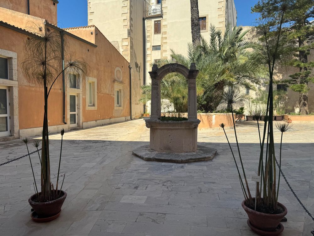 A courtyard with a well with two small papyrus plants in front.