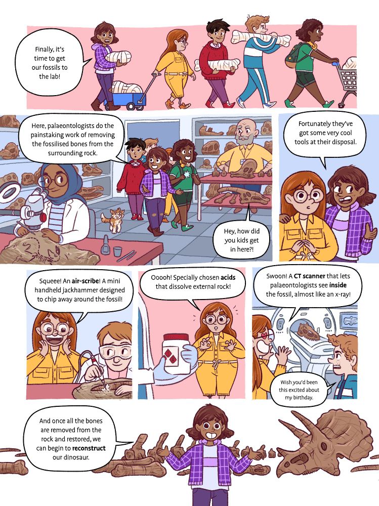 Comic page. A series of panels showing the gang of kids carting their wrapped up fossil bones into a palaeontology lab. We see two palaeonotologists at work in the lab, leaning over slabs of rock with skeletons within. On the shelves around are various fossils and bones. Eva: here palaeontologists do the painstakeing work of removing the fossilised bones from the surrounding rock.

She then shows Willow the vast array of tools they can use to do this. Air scribes! Special acids! CT scanners to look inside! Willow squeals with delight!