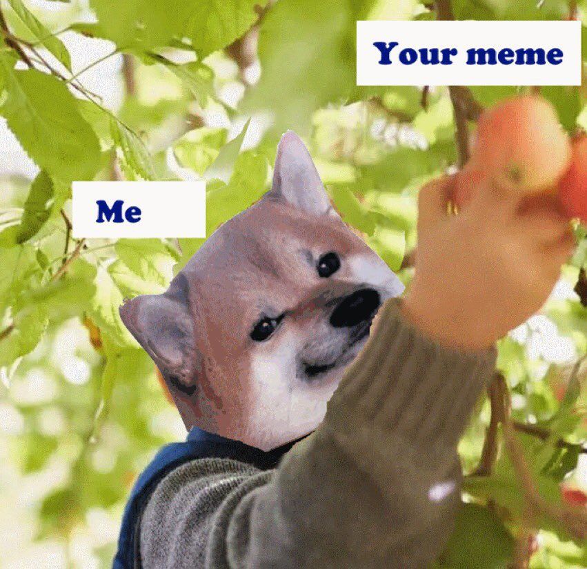 Comment image