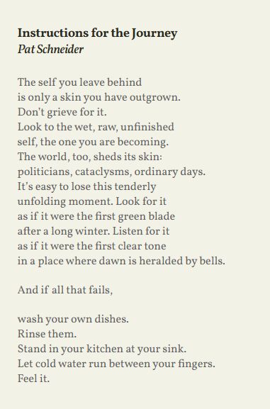 The self you leave behind
is only a skin you have outgrown.
Don’t grieve for it.
Look to the wet, raw, unfinished
self, the one you are becoming.
The world, too, sheds its skin:
politicians, cataclysms, ordinary days.
It’s easy to lose this tenderly
unfolding moment. Look for it
as if it were the first green blade
after a long winter. Listen for it
as if it were the first clear tone
in a place where dawn is heralded by bells.

And if all that fails,

wash your own dishes.
Rinse them.
Stand in your kitchen at your sink.
Let cold water run between your fingers.
Feel it.