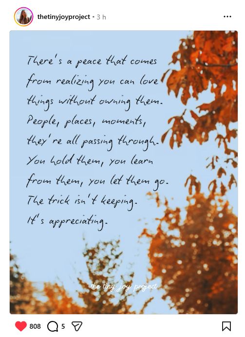 There's a peace that comes from realizing you can love things without owning them. People, places, moments, they're all passing through. You hold them, you learn from them, you let them go. The trick isn't keeping. It's appreciating.