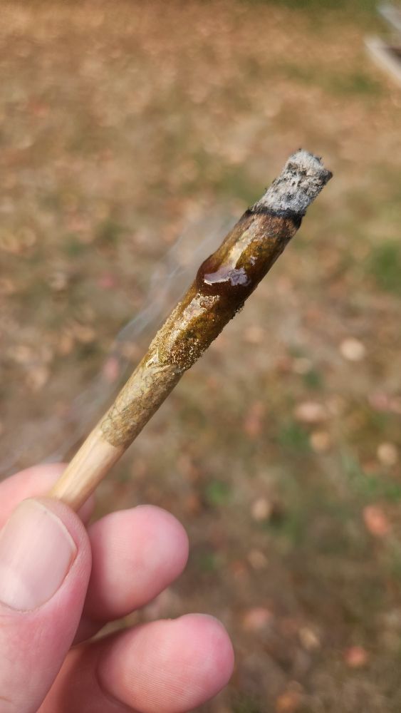 A burning Joint that has a large glob of oil running down the outside and is also coated in kief.