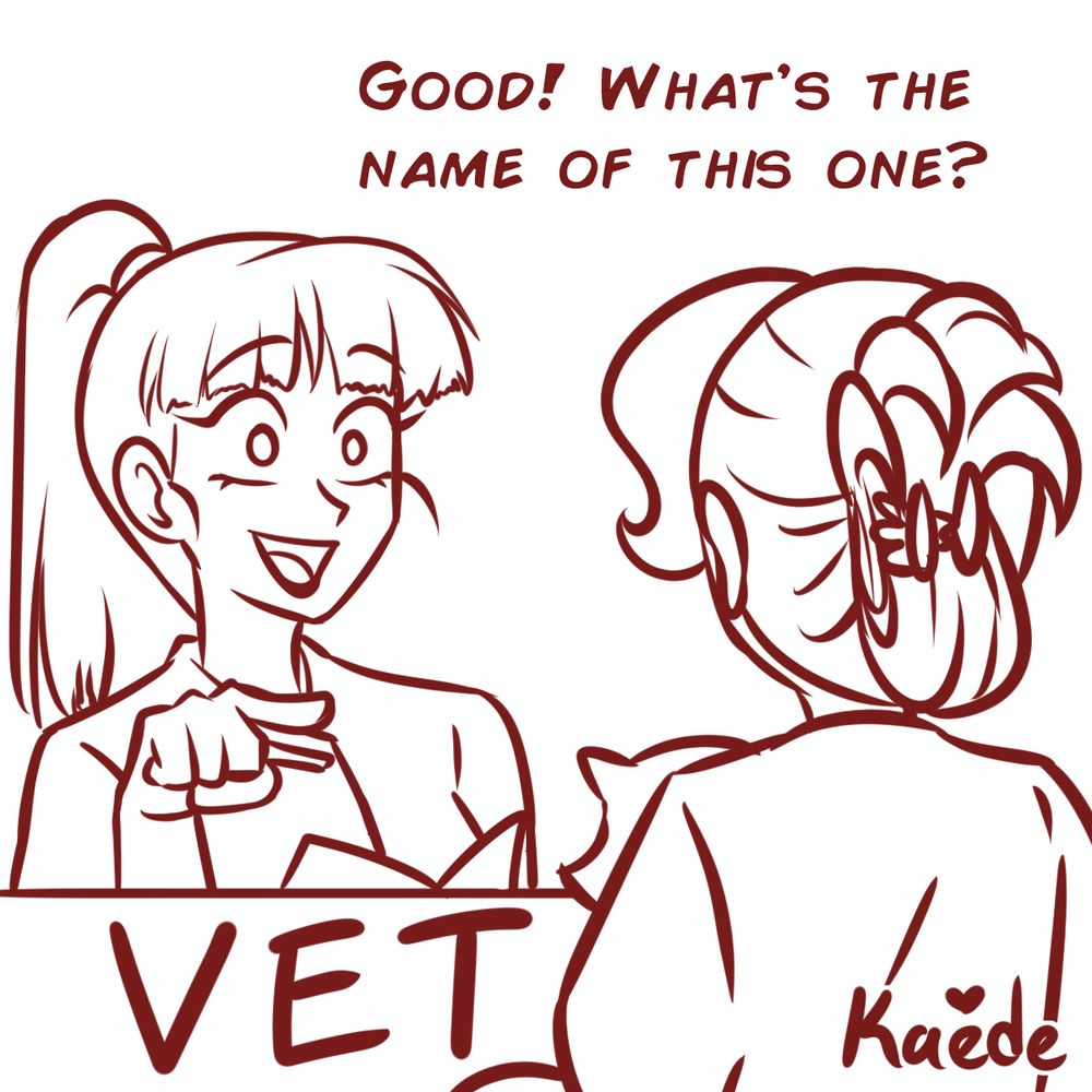 The Vet asks then the name of the cat the owner is holding