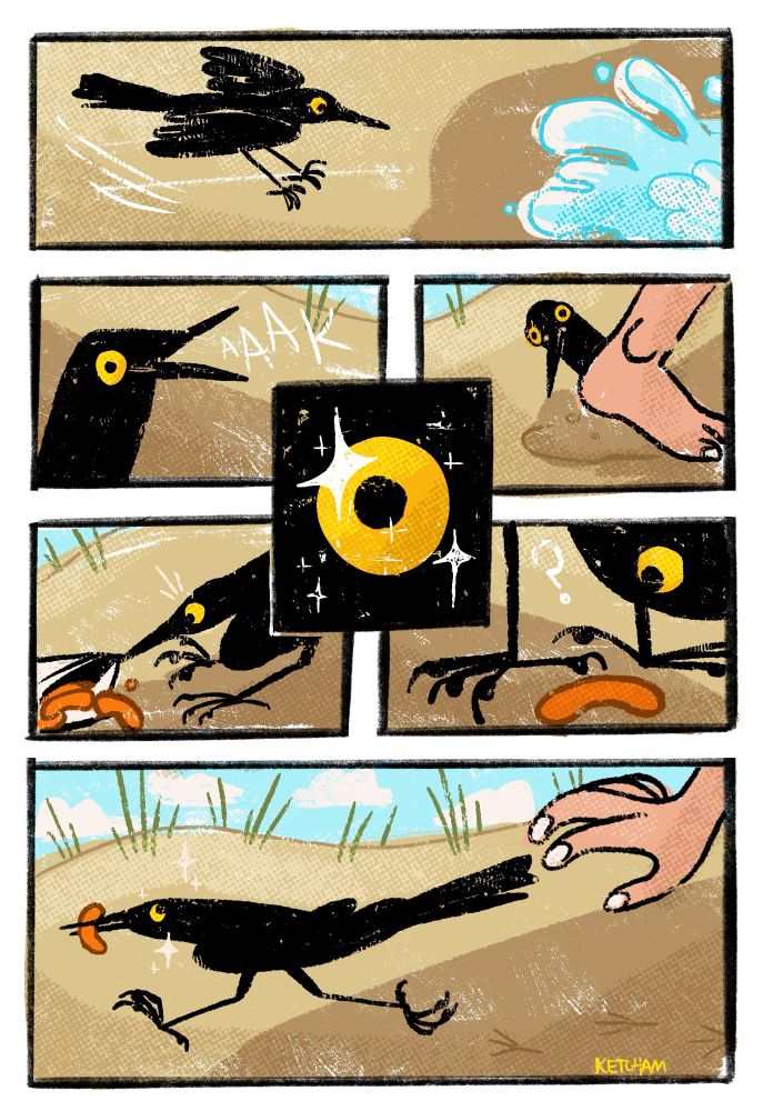 Comic of a grackle stealing a Cheeto from a beach goer