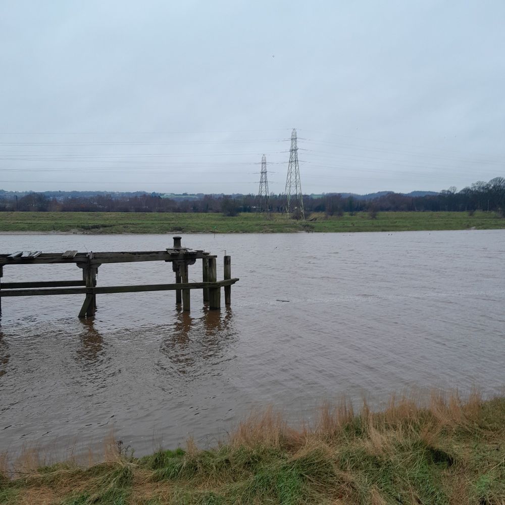 The point of a 'triangle' joining the green navigation light on the far bank of the river and the end of the dilapidated jetty is a cormorant floating between dives on the River Dee at 9.05 am on Sunday 26th January 2025.