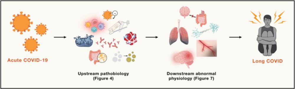 Mechanisms of long COVID and the path toward therapeutics