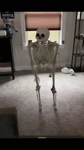 a skeleton is standing on its hind legs in a living room .