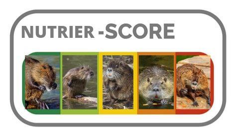 Nutrier-Score