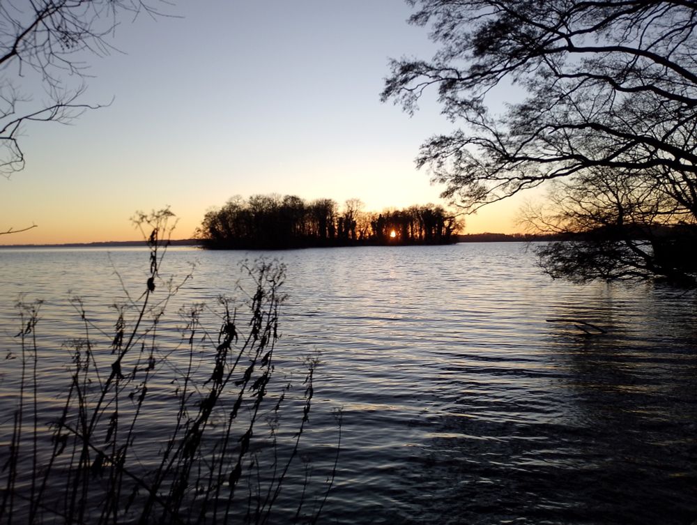 Blick auf den Plöner See. Die Sonne steht tief und ist durch die Bäume eines Warders zu sehen 