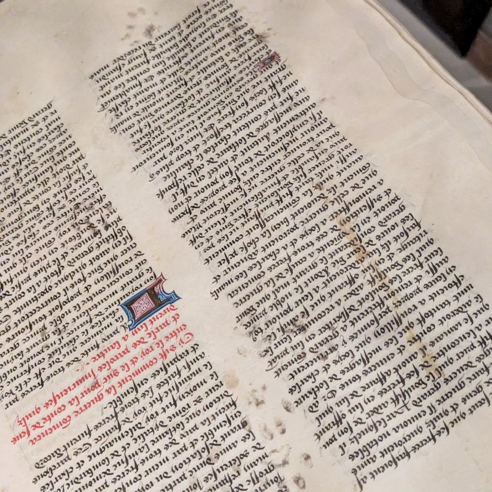 Illuminated manuscript perfected by cat