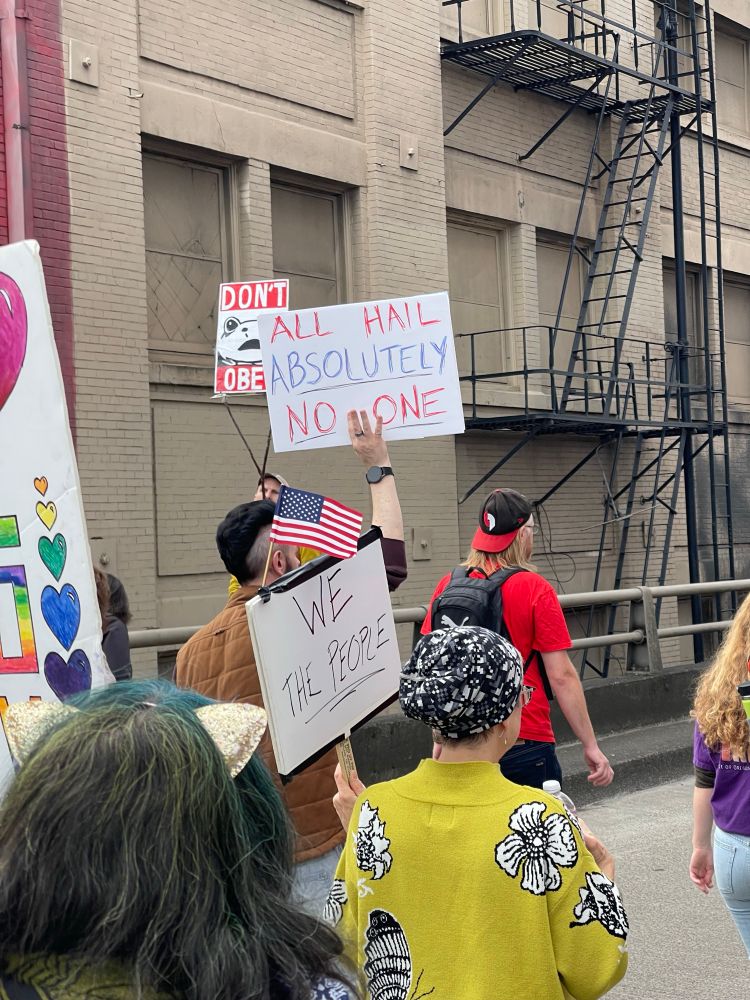 Signs saying:

“Don’t Obey” (with a frog)
“All Hail Absolutely No One”
“We The People”