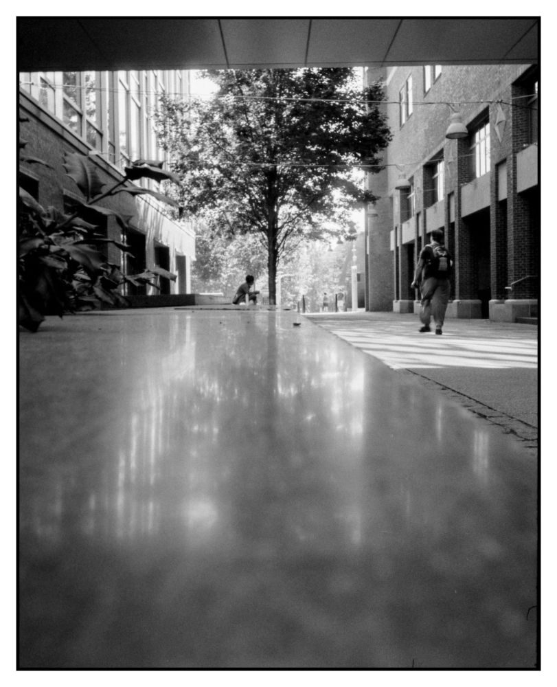 Camera set on a polished stone bench with tree at the end and didn't sitting in it between two buildings