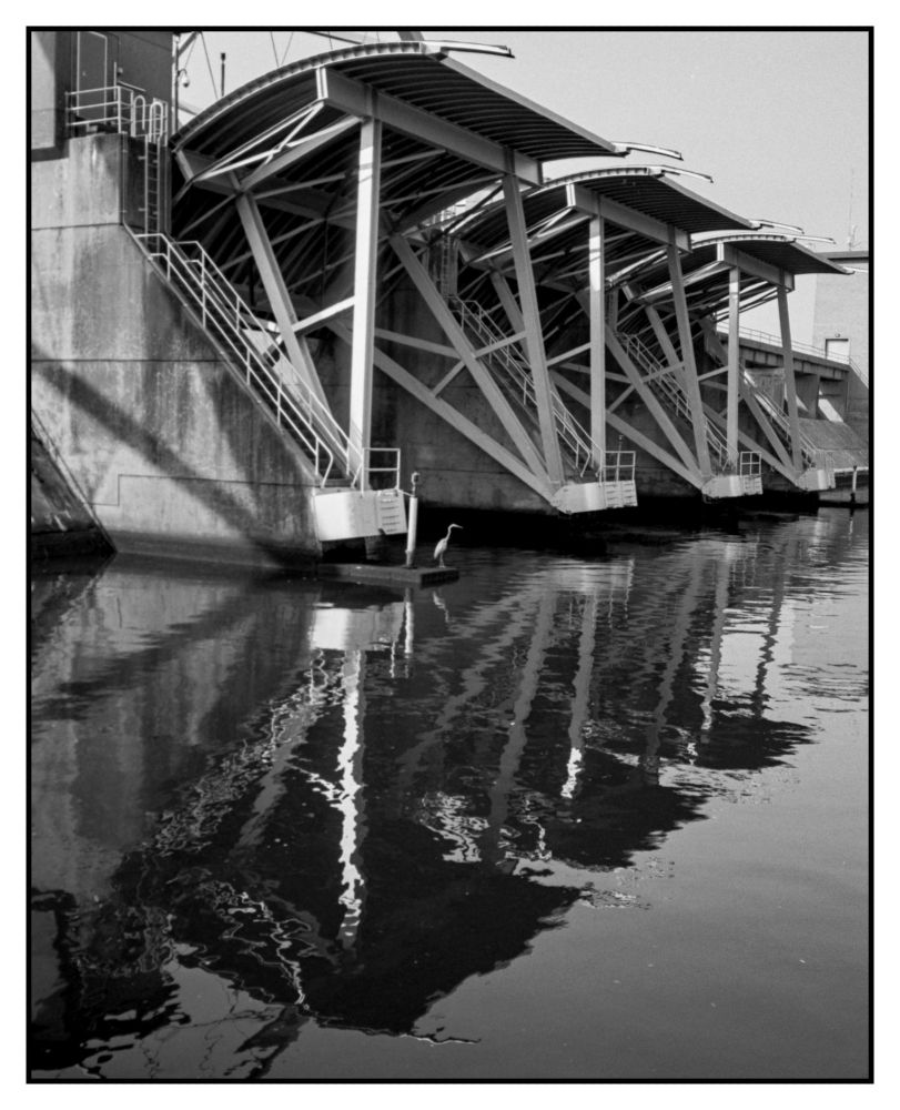 heron on the footing of the open hurricane barriers in providence