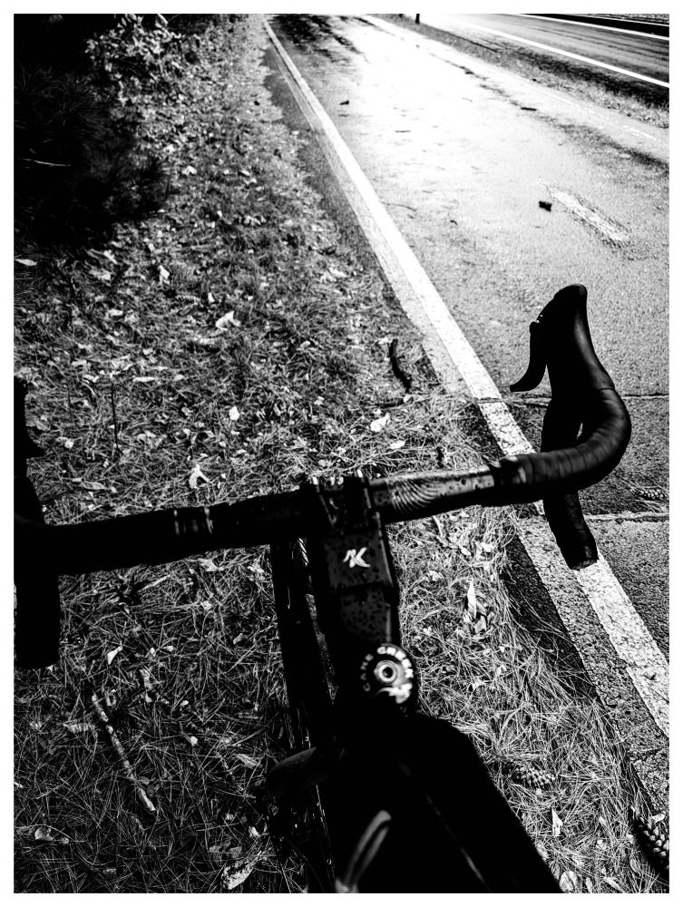Photo illustrating that I've stopped on the side of the bike path. In the leeward side of the trees along the bike path. 