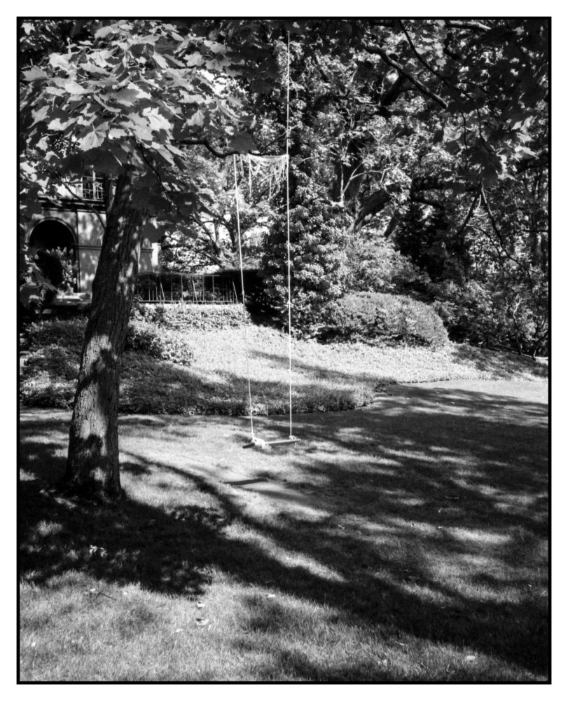 White lines of the swing hanging from a beach of a tree with sting contrasty shadows on the grass