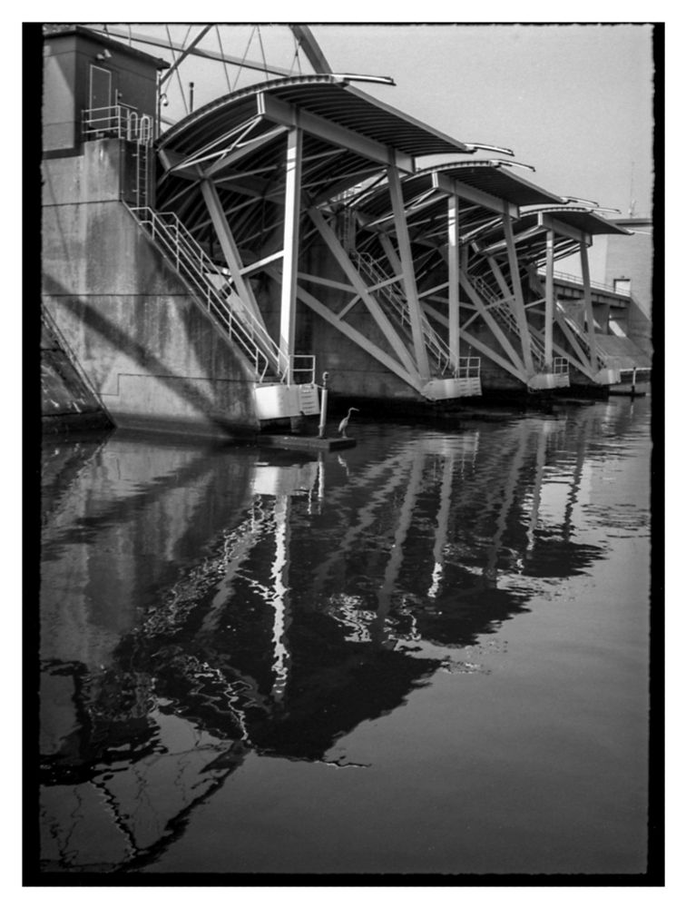 flatbed scanned image of the hurricane barriers in providence ri with a great blue heron