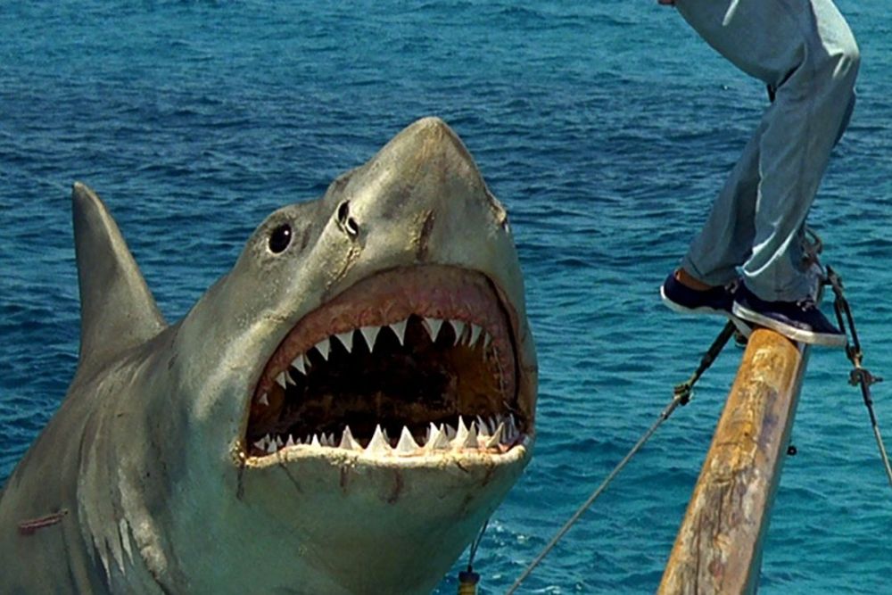 Jaws: The Revenge