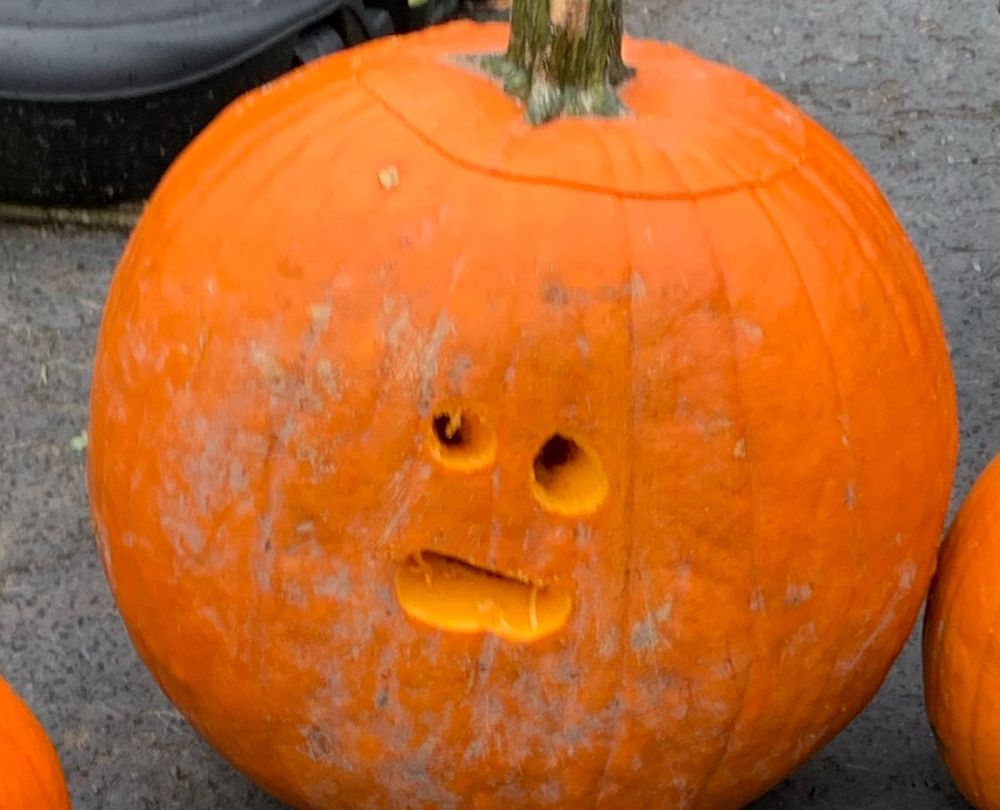 Giant pumpkin with tiny surprised face carved into it 