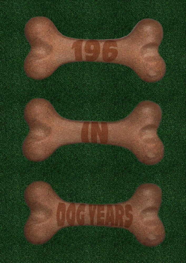 3 dog bones over a grass background reading “196 in dog years”