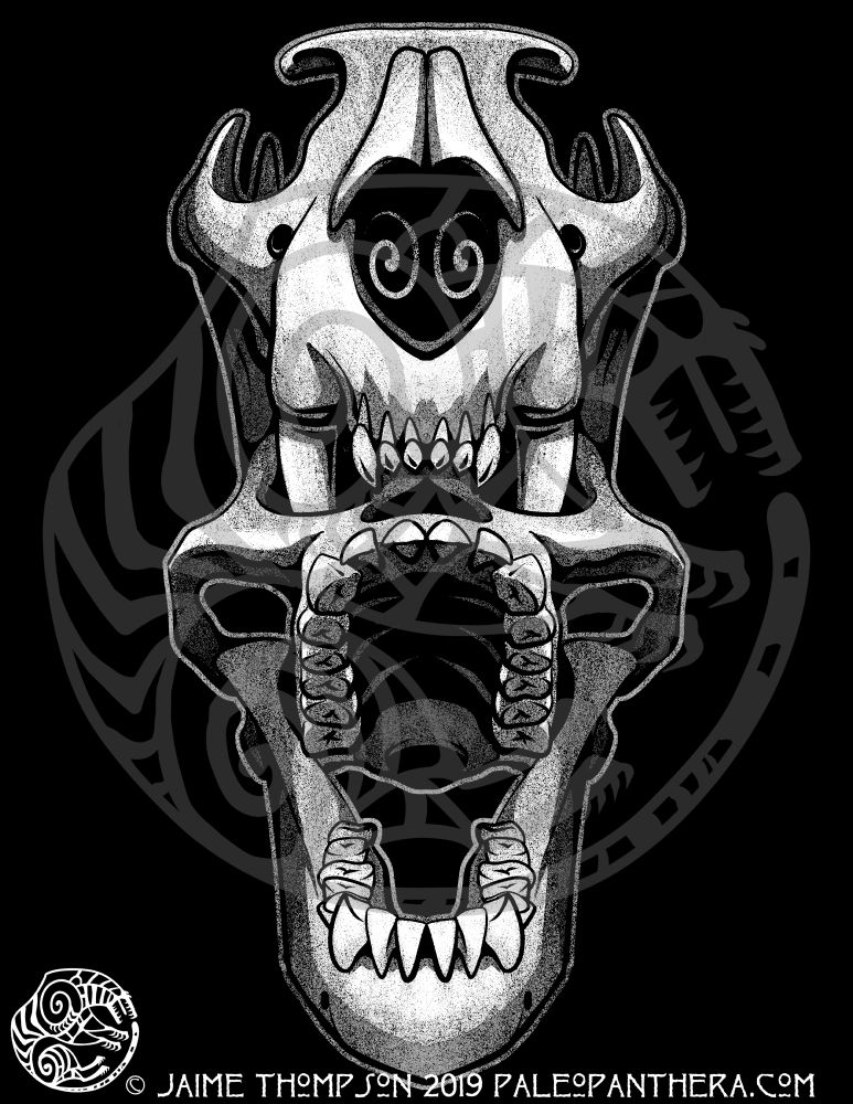 A leopard skull depicted biting into an australopithecine skull. Both skulls are facing the viewer. The leopard's upper canines are plunged into the eye sockets of the ancient hominin. The lower canines (obscured by the viewer angle) would be puncturing the base of the australopithecine skull.

The artwork is high contrast black and white with a grainy effect.