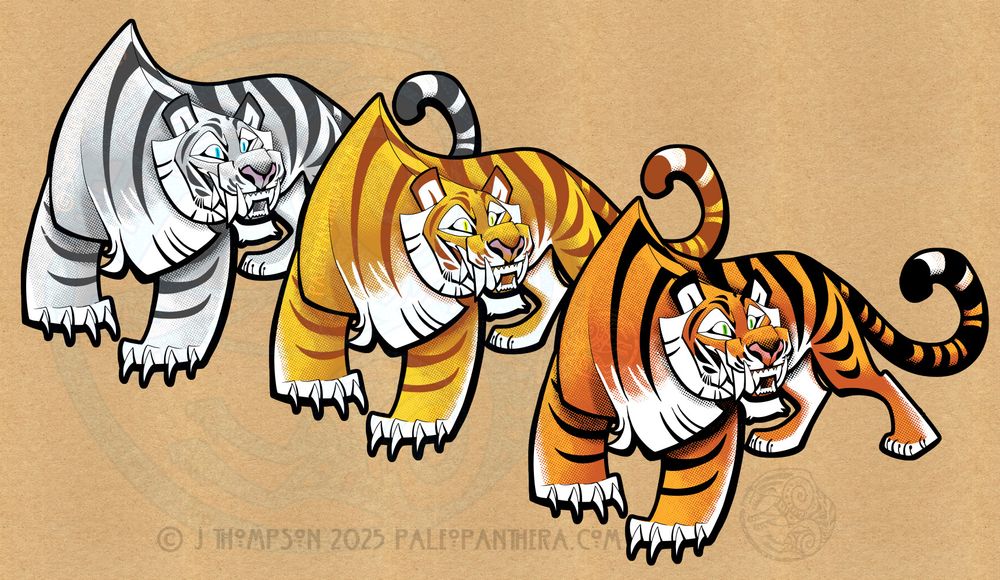 A trio of tiger stickers; they're the same design in 3 color variations. Left to right they are a white tiger, a strawberry tiger, and a natural coloration tiger.

The style is strongly inspired by animation and the cats are drawn with exaggerated features and strong angles.