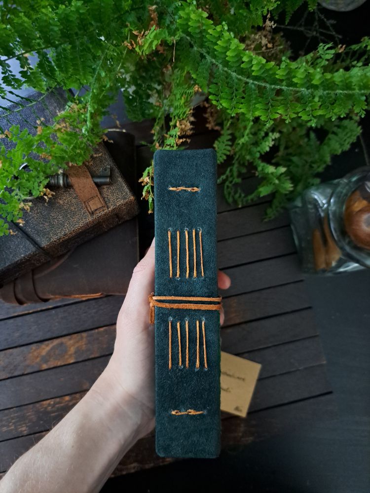 The book held with the spine and the stitching most visible to the camera