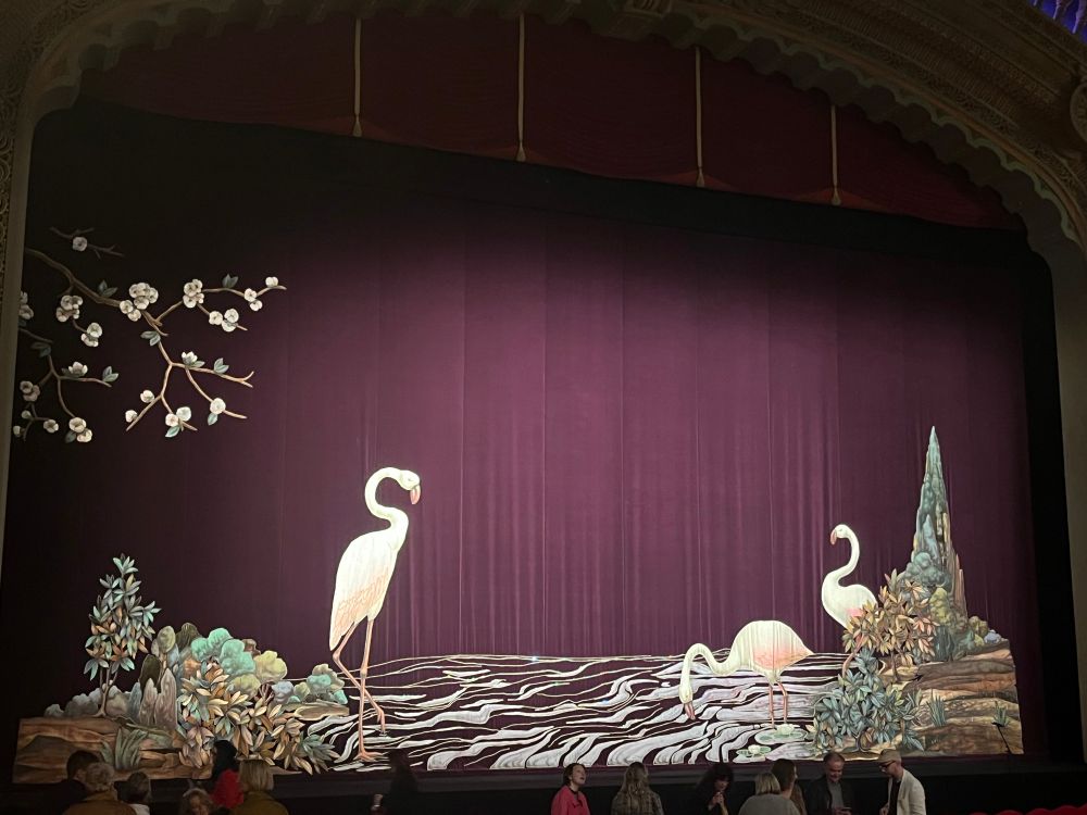 The iconic curtain at The Civic featuring majestic flamingos