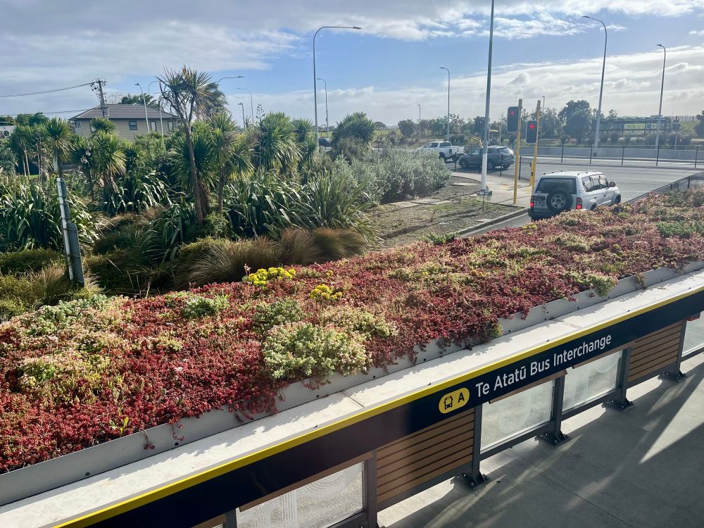 Red and green plants growing on the top of the bus shelter roof