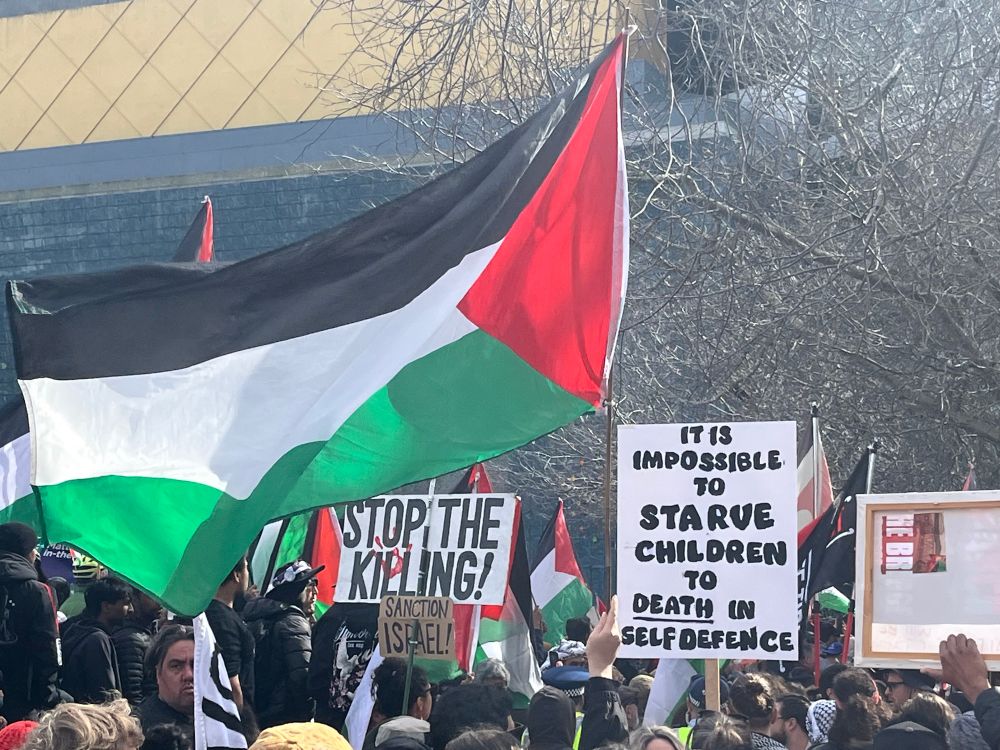A large Palestine flag among protest signs:
It’s impossible to starve children to death in self defence 
Stop the killing