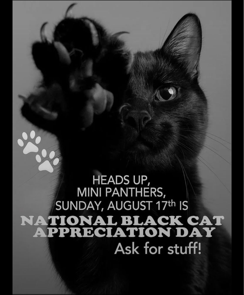 A poster of a black cat with the caption: Heads up mini panthers, Sunday August 17th is National Black Cat Appreciation Day. Ask for stuff! Typical internet nonsense, and every day is black cat appreciation day in our home, but it’s a happy coincidence that it’s also their birth date. 