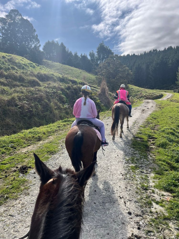 Three horses walking along a trail, ten year old niece in the middle loving it, after a tentative start