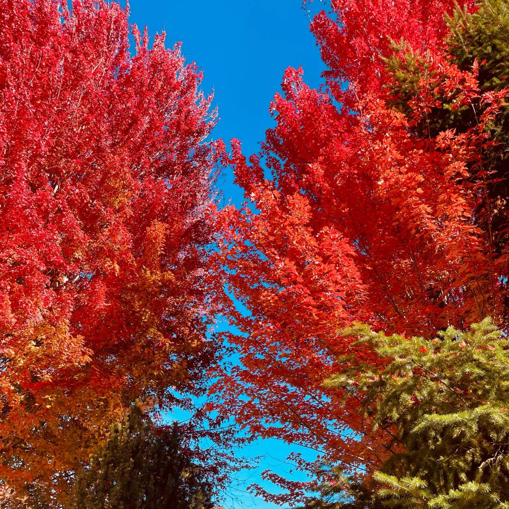 Photos of Boise, ID by Mike Hales 