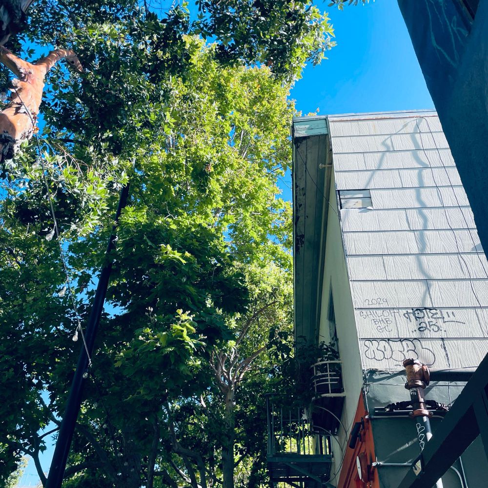 Photo of Valencia St in San Francisco by Mike Hales, 2025