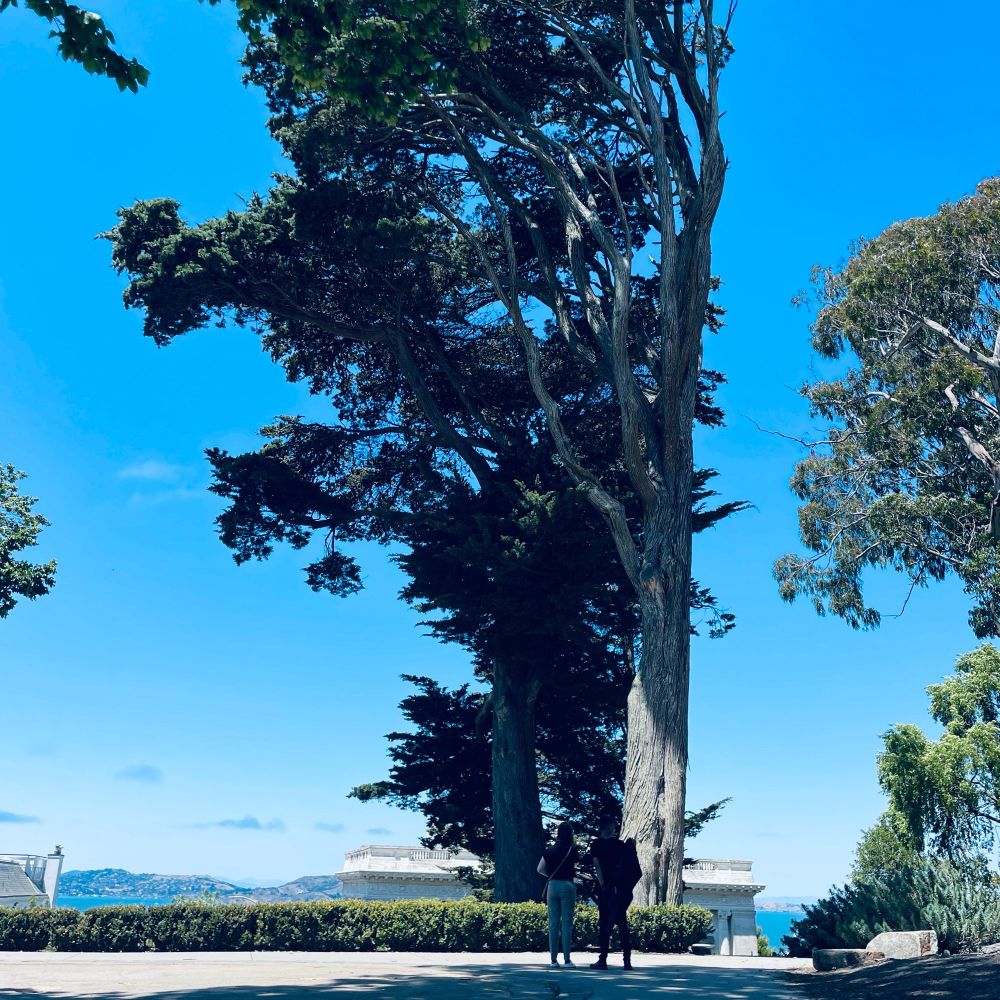 Photo by Mike Hales, July 2025