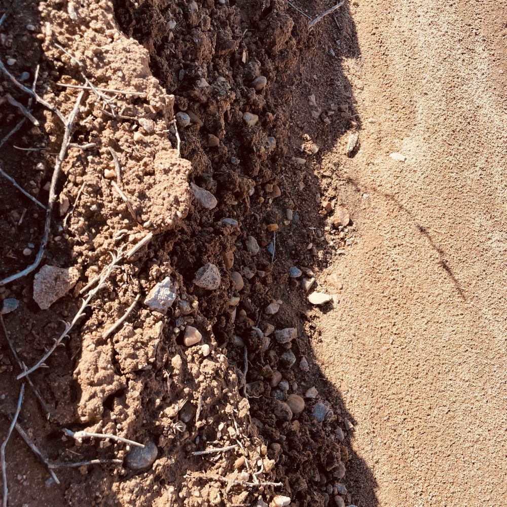 Photos of Boise, ID by Mike Hales 