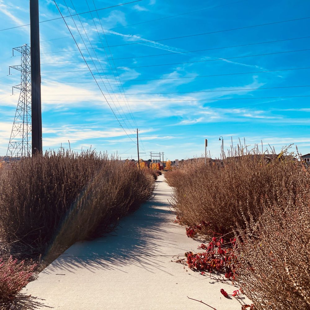 Photos of Boise, ID by Mike Hales 