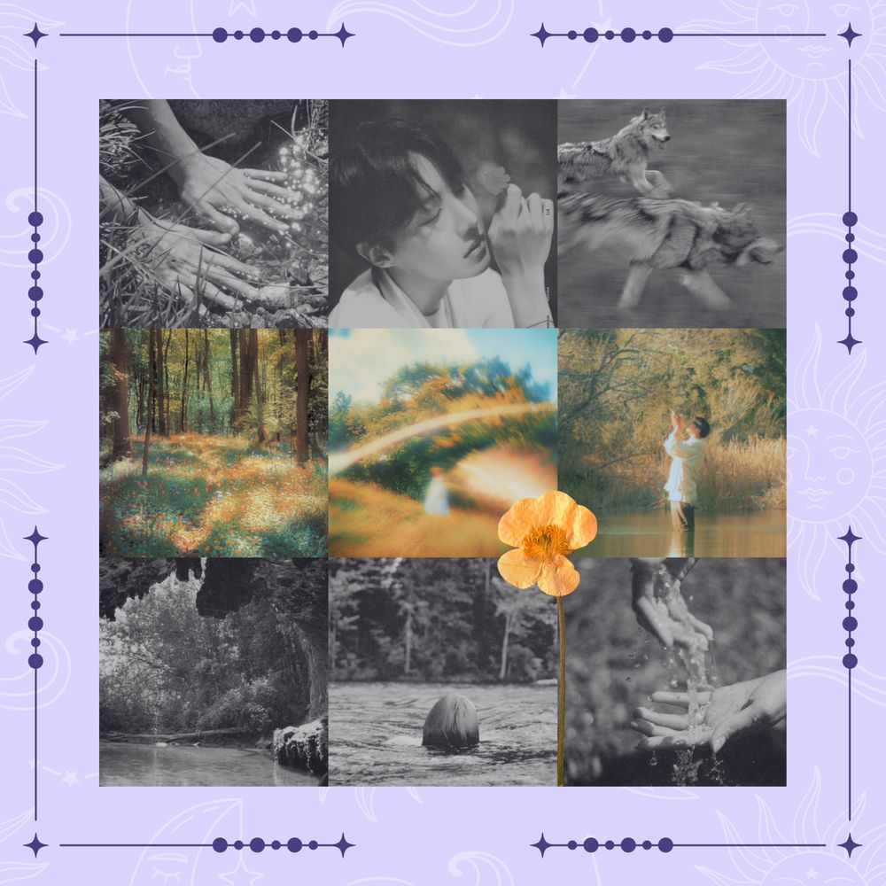 three colour images: a forest with woldflowers and sun dappling all over the foliage, a blurred image of someone standing in a field in front of trees with lens flare, and jungkook standing in the river drinking from the on mv

6 black and white images: hands washing in a stream, and hands holding up the water, two wolves running, a cave in the water, someone subsumed in water with only their hair visible, and hobi holding up a flower.

overlaid on top, a buttercup.