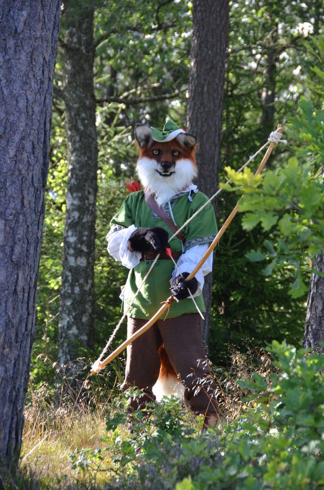 A Robin Hood look-a-like fox fursuit with an bow and arrow in the forest looking straight into the camera