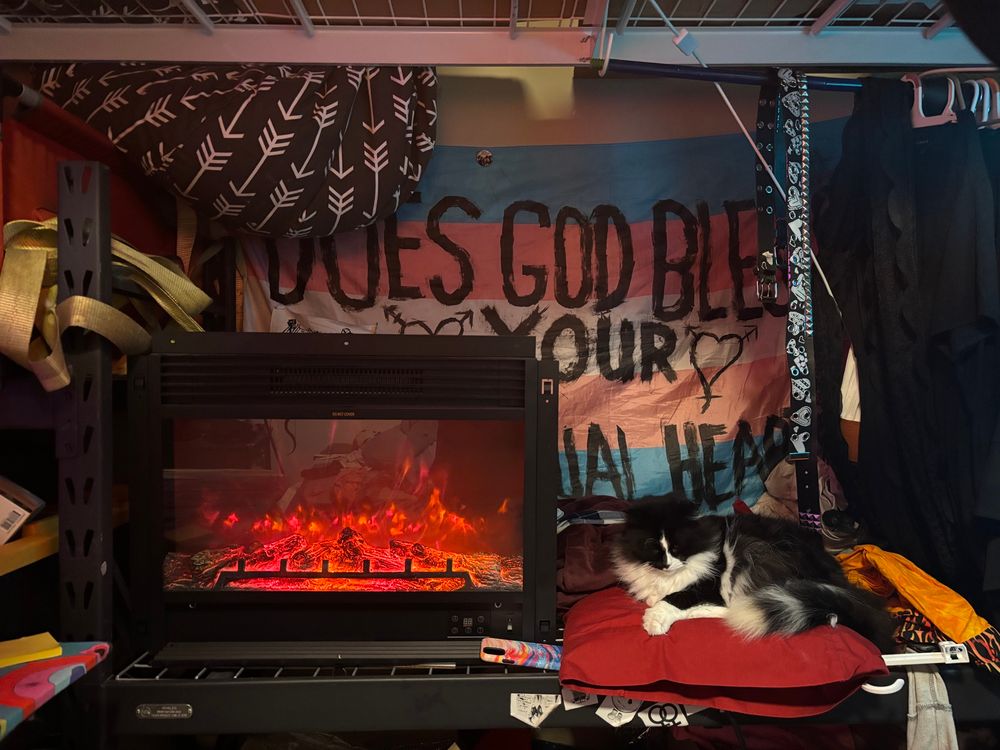 Black and white cat sitting next to a fake fireplace heater with a trans flag in the background