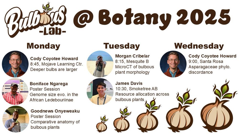 A graphic with a text header saying “Bulbous lab at Botany 2025”. Underneath is a list of names, times, locations and topics of different projects to be presented at Botany 2025. 