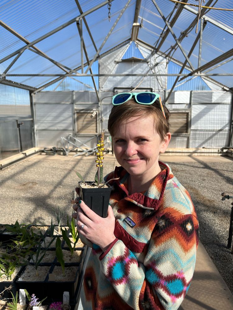 A person holding a potted plant in a greenhouse