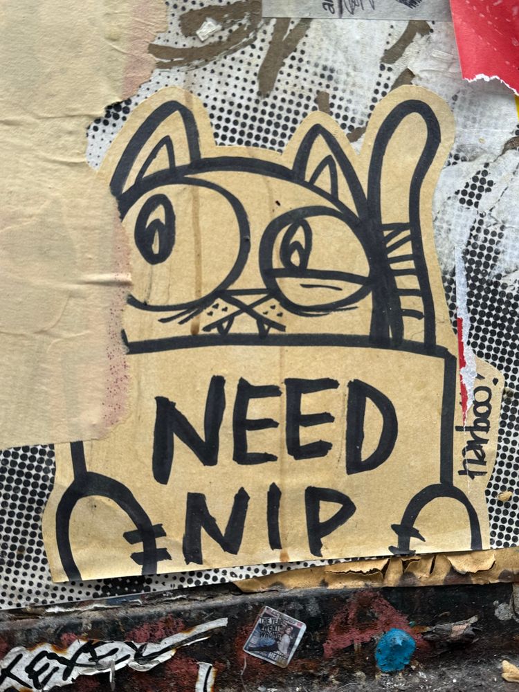 Pasteup of a cartoon cat looking tweeky holding a sign saying “Need Nip”