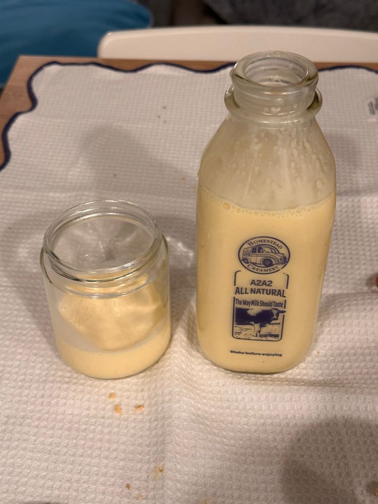 Poured glass of egg nog next to its quart sized bottle. The bottle has a an oval logo with the name, “Homestead Creamery” along the oval with the image of adairy truck inside.   A vertically oriented rectangle is below the oval. Inside the rectangle from top to bottom are:
A2A2
All Natural 
The way milk should taste 
A picture of a cow in a grass field 

At the bottom of the bottle is the text, “Shake before enjoying.”

