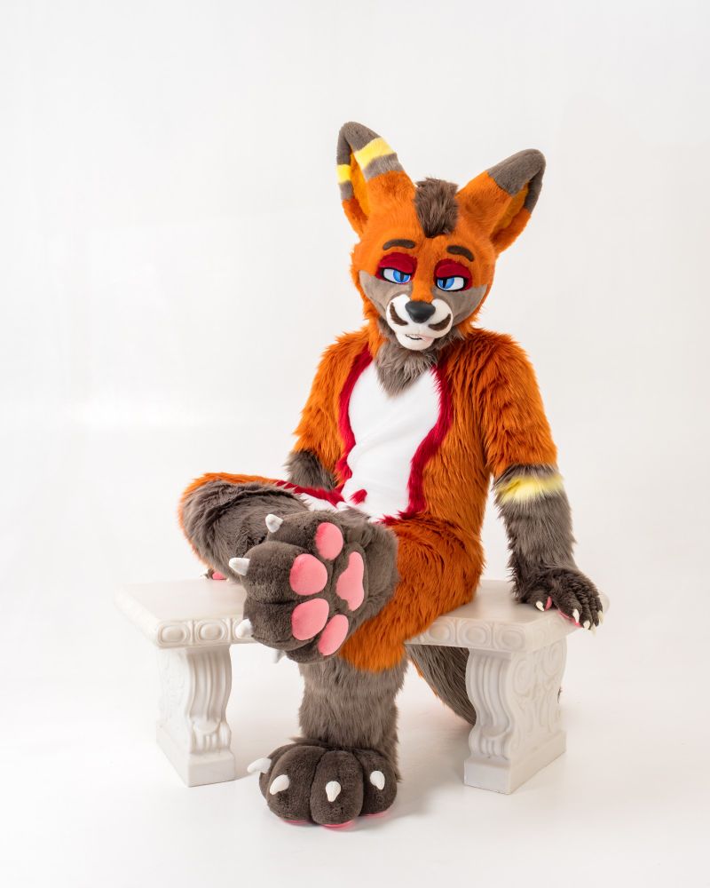 Sven Fennec sitting on a white bench with a paw showing.