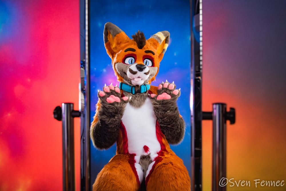 A photo of Sven Fennec in a mirror in the studio with a shorter version of this poem I wrote about me. 
🦊 I Walk Between Worlds  

I walk between worlds — one grounded in stone,  
The other vast energy, woven unknown.  
My paws touch the earth, my spirit the stars,  
I see who you are, not just who you guard.

You move through the noise, unsure and unseen,  
But I feel your story like light through a screen.  
Every mask, every ache, every silent plea —  
I sense it, I honor it, as part of your key.

Though I often feel alone in the crowd,  
My soul resonates deeper than voices loud.  
I hear the hum where feelings hide,  
And I frame the truth that dwells inside.

Light is my language, and shadows, my ink,  
I capture the moment you pause — then think:  
“Is this me?” Yes. It’s you, raw and real.  
And I’m here to mirror what you feel.

If you’ve searched for yourself through fog and fear,  
Know that your essence is already near.  
Not a mystery, not something earned —  
But something remembered and quietly learned.

So I continue this quiet dance  
Between cosmos and chance —  
Not to be seen, but to help you see  
The beauty in *you* that once lived in *me*.