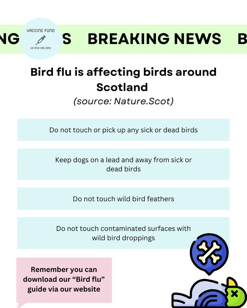 On the top of the image is a mini sized logo of the Vaccine fund UK and Ireland. This is a picture of a blue circle with a line drawing of a needle. Below the needle reads, Vaccine fund UK and Ireland in black letters.

Behind the logo is a breaking news banner in black letters highlighted in green across the top of the image

Below the logo and banner is the title
Bird flu is affecting birds around Scotland (source Nature.Scot), In black letters

Below the title reads (all in black letters with a light blue highlight 
* Do not touch or pick up any sick or dead birds 
* Keep dogs on a lead and away from sick or dead birds 
* Do not touch wild bird feathers 
* Do not touch contaminated surfaces with wild bird droppings

On the bottom left of the image reads:
Remember you can download our “Bird Flu” guide via our website 
This is typed in black letters on a transparent red speech bubble

On the bottom right of the image is a picture of a blue dead bird icon with a green head. On top of the bird are two bones making the shape of a can X to indicate the bird is dead